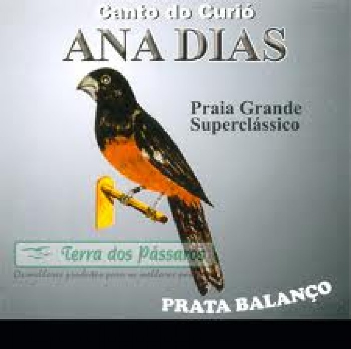 Cd de Canto para Curió Ana Dias Praia