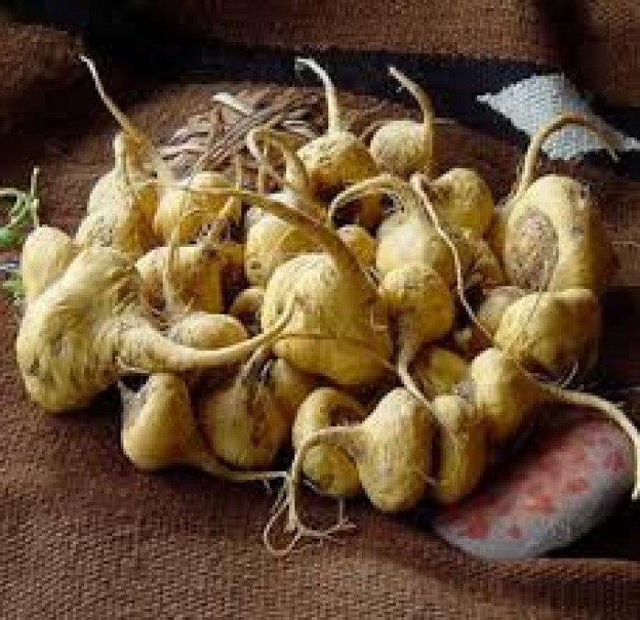 Afrodisíaco Maca Peruana