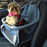 Cadeira assento de cachorros para carros.