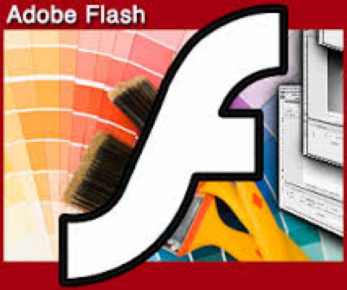 Flash CS3