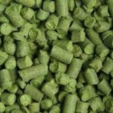 Lupulo cascade para fabricação de cerveja artesanal