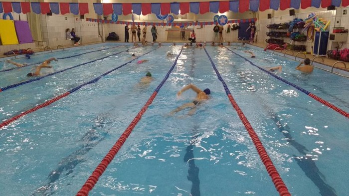 Aula de natação adulto condicionamento academia de natação- natação