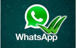 Faça seu Pedido pelo Whatsapp