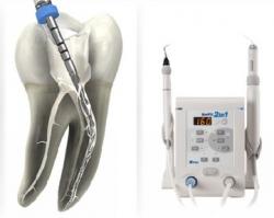 Tratamento de Canal  Endodontia