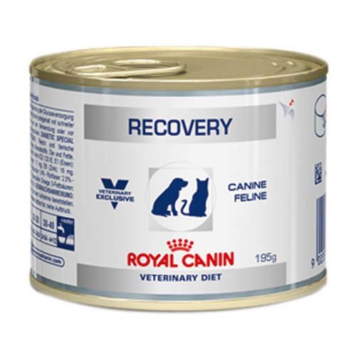 racao-royal-canin