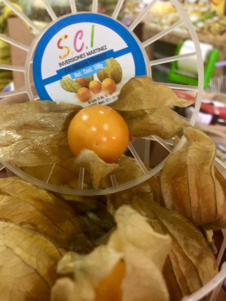 physalis-