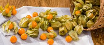 physalis-