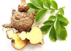 Saúde e beleza - Inibidor de Apetite Glucomannan Cápsulas. - Inibidor de Apetite Glucomannan Cápsulas.