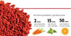 Saúde e beleza - Goji berry - Goji berry