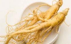 Estimulantes físico, sexuais e antifadiga -Ginseng