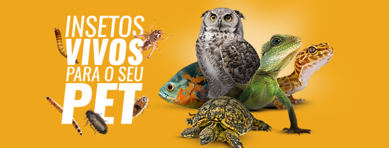 insetos-vivos-para-passaros-repteis-peixes-pet-piracicaba