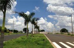 Terreno a venda Bairro Campestre 