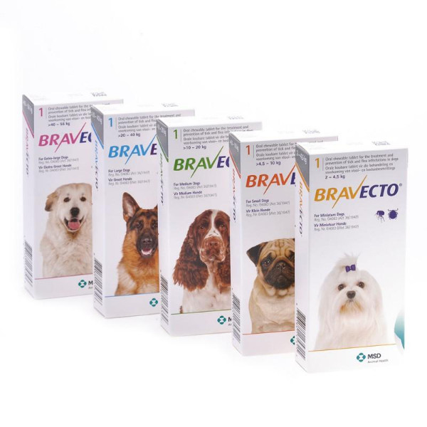 anti-pulgas-e-carrapatos-4-5-a-10-kg-bravecto