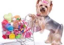 Animais - BRINQUEDOS VARIADOS PARA O SEU PET - BRINQUEDOS VARIADOS PARA O SEU PET