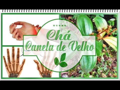 canela-de-velho-cha