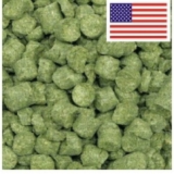 hops-loral-este-lupulo-e-uma-novidade-no-brasilcaracteristicas-florais-citricas-frutadas-experimente