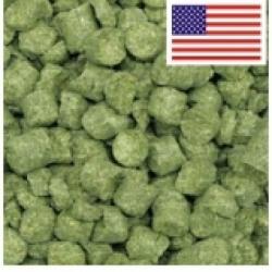 Hops Loral este lupulo é uma novidade no Brasil.características florais, cítricas, frutadas. Experimente!